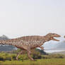Carcharodontosaurus vs Giganotosaurus