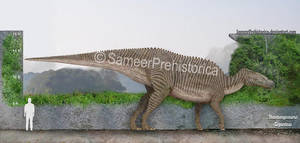 Shantungosaurus Size