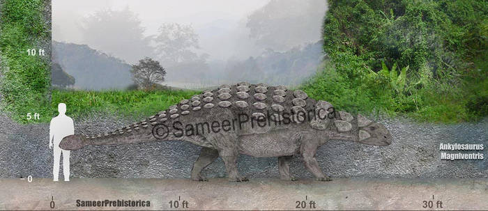 Ankylosaurus Size