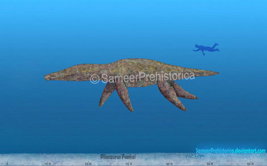 Pliosaurus Funkei Size