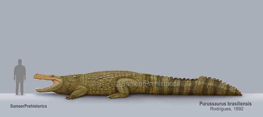 Purussaurus Size