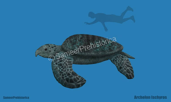 Explore The Best Archelon Art Deviantart Explore The Best Archelon Art Deviantart