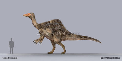 Deinocheirus Size