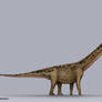 Mamenchisaurus Size