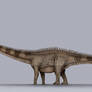 Diplodocus Size
