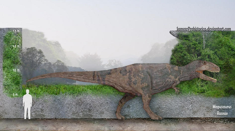 Mapusaurus Size by SameerPrehistorica on DeviantArt