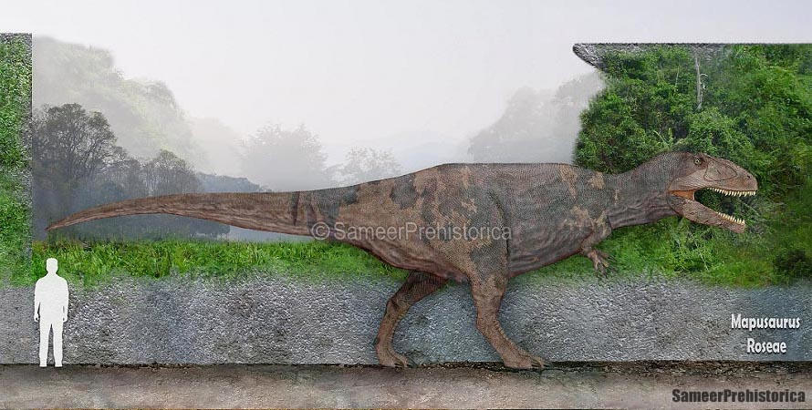 Mapusaurus Size by SameerPrehistorica on DeviantArt
