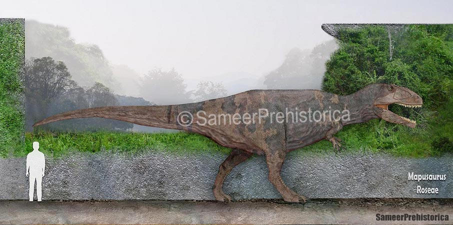 Mapusaurus Size by SameerPrehistorica on DeviantArt