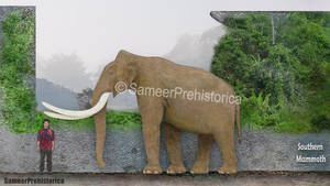 Southern Mammoth Size