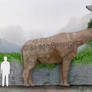 Urtinotherium Size