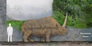 Elasmotherium Sibiricum Size