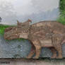 Pachyrhinosaurus Size