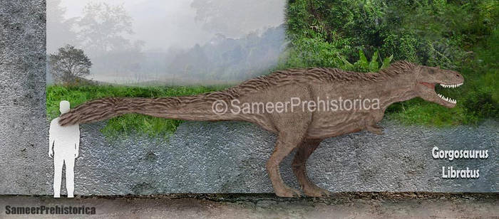 Explore the Best Gorgosaurus Art | DeviantArt