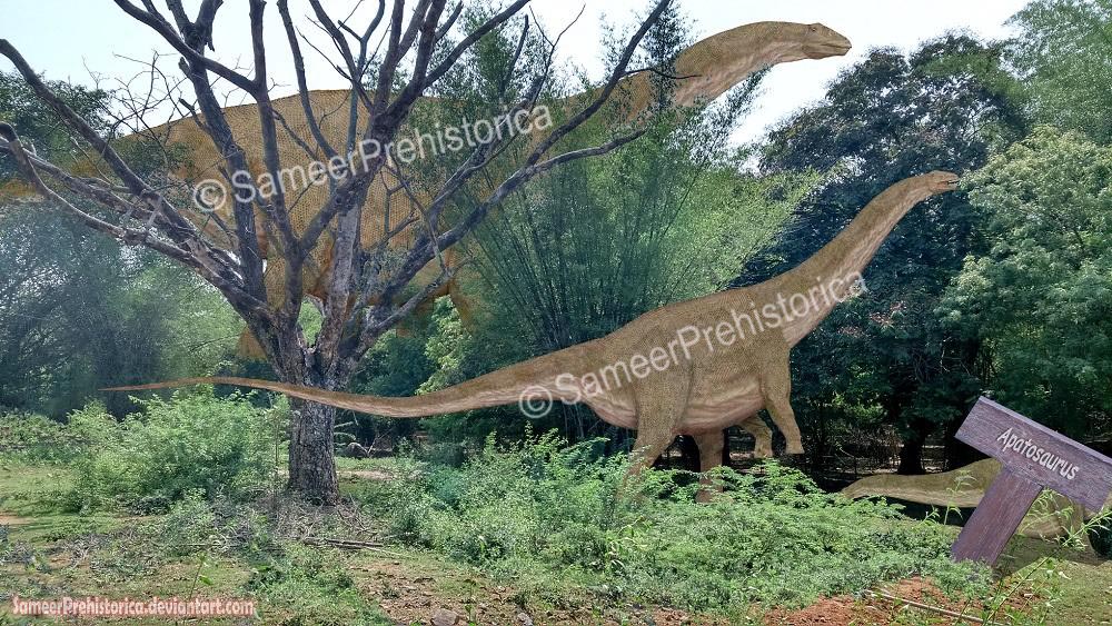 Extinct Park - Apatosaurus