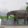 Deinotherium Proavum Size