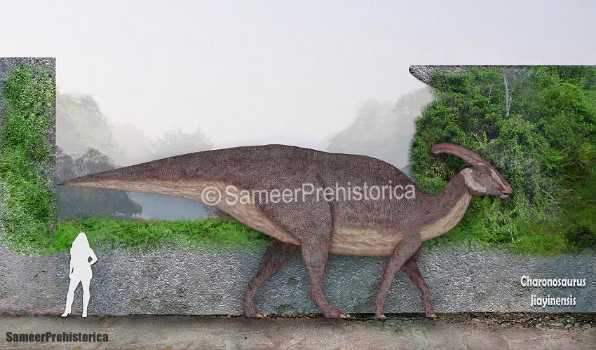 Charonosaurus Size by SameerPrehistorica on DeviantArt