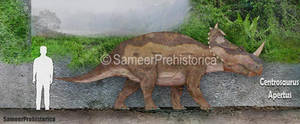 Centrosaurus Size