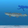 Orthacanthus Size