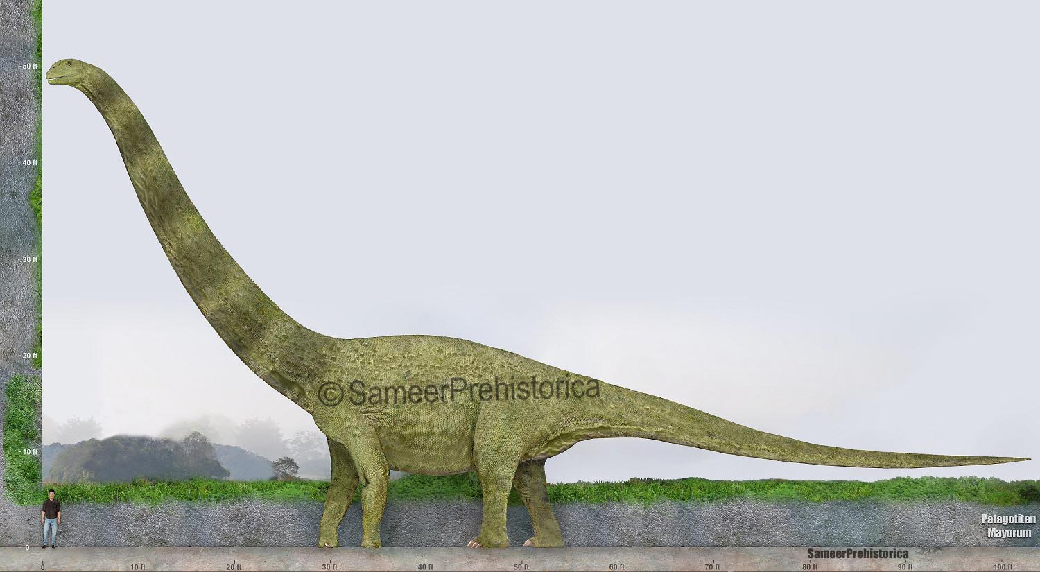 Patagotitan Size