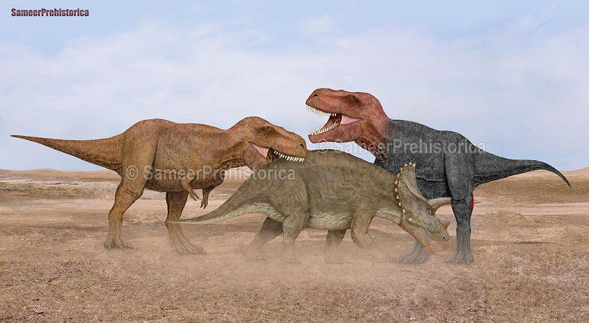 Tyrannosaurus rex vs Deinosuchus rugosus by Herschel-Hoffmeyer on