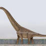 Futalognkosaurus size