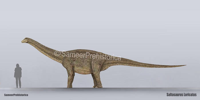 Saltasaurus Tooth Explore the Best Saltasaurus Art | DeviantArt