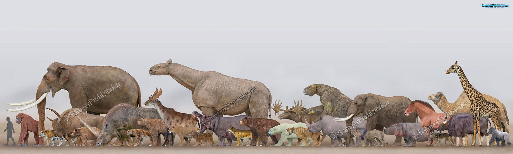 Megafauna - Mammals