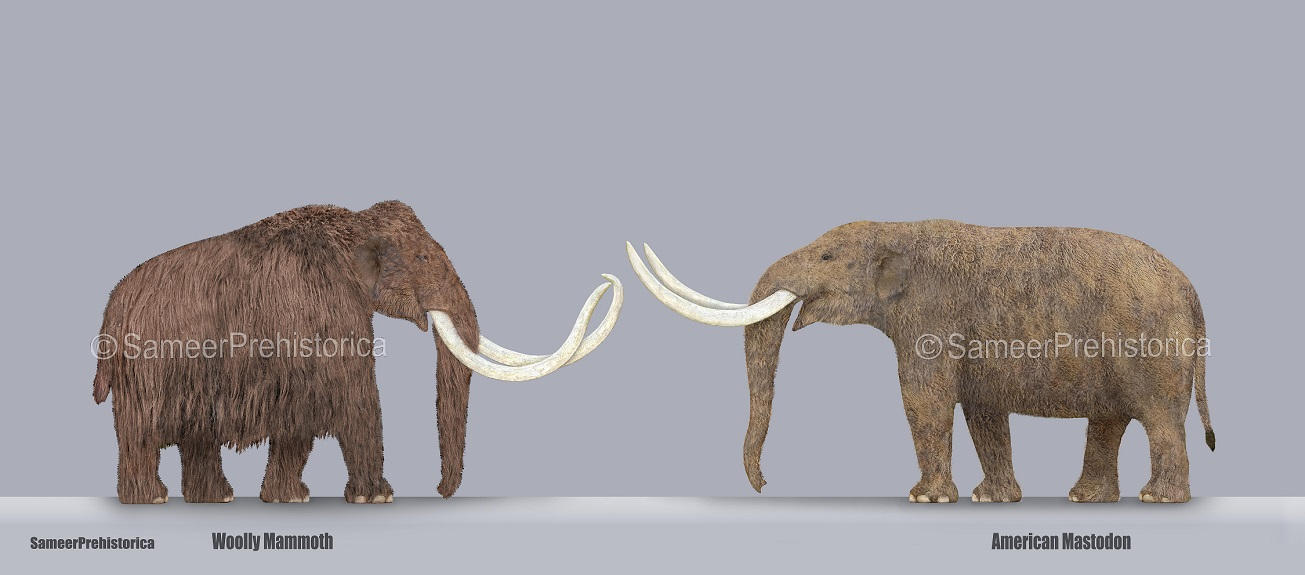 Mammoth vs Mastodon by SameerPrehistorica on DeviantArt