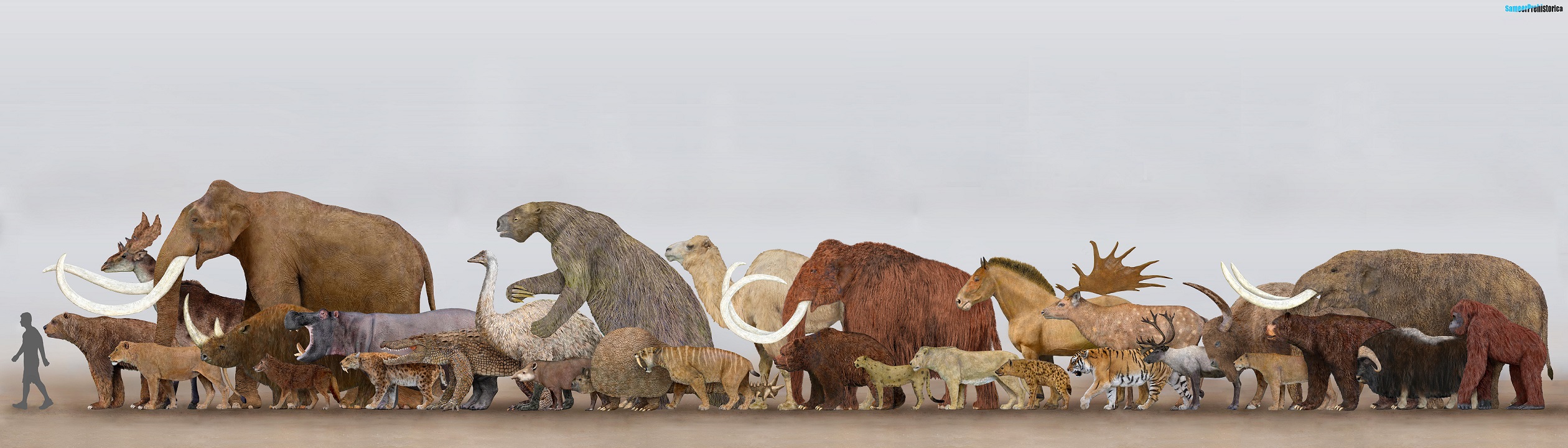 Pleistocene Megafauna by SameerPrehistorica on DeviantArt
