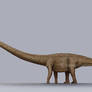 Barosaurus Size
