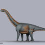 Camarasaurus Size