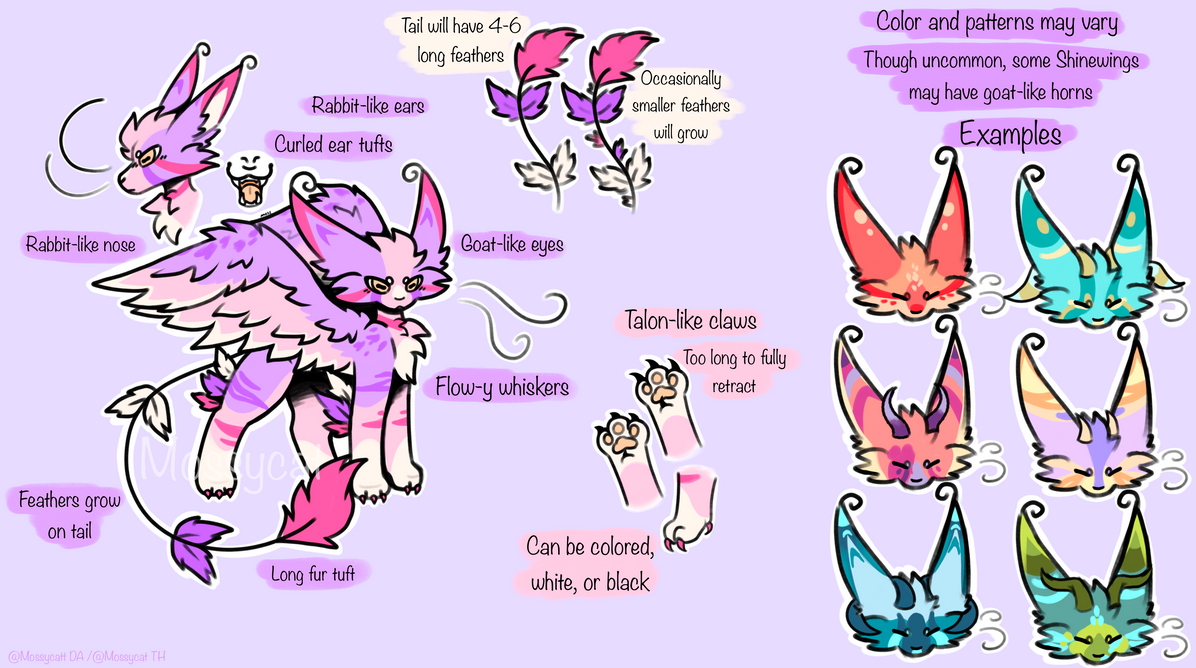 Original Reference Shinewing reference sheet | Original Species by MossyCatt on DeviantArt