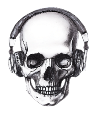 Skull Headphones