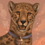 Smile  Cheetah  Smile By Flashw-d61tqkw