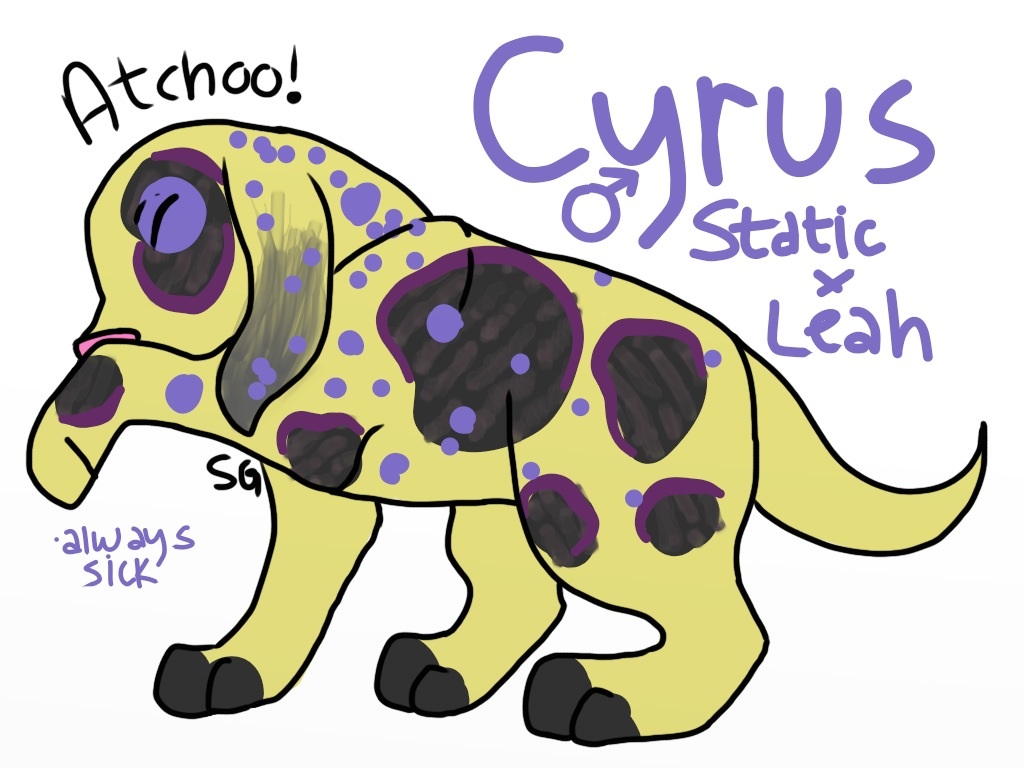 Cyrus