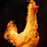 Fire Chicken