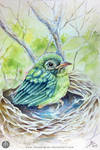 Brid 2015_Watercolor practice by chuaenghan