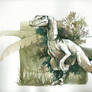 Velociraptor _ watercolor