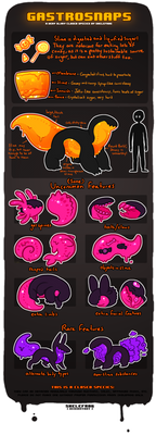 [OUTDATED] GASTROSNAPS - Species Guide