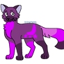 Cheap cat adopt!