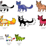 Cheap cat adopts! 3/8