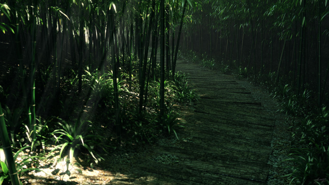 Bamboo 2