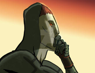 Contemplating Zant