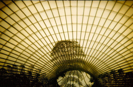 greenhouse at the botanics