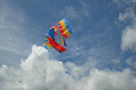 Colourful Flying Deutchman