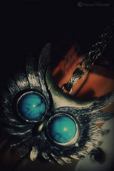 My. Mr Owl