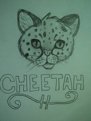 CHEETAH