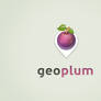 Geoplum