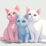 Meow with PRIDE.
