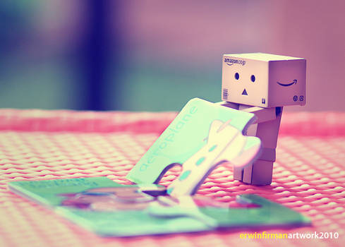 danbo's puzzle